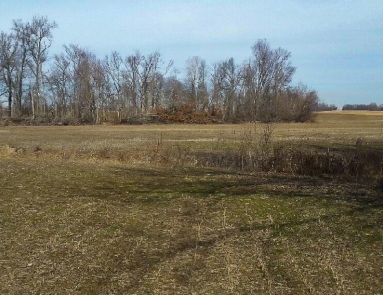 Ultimate Guide to Leasing Your Land for Hunting Base Camp Leasing