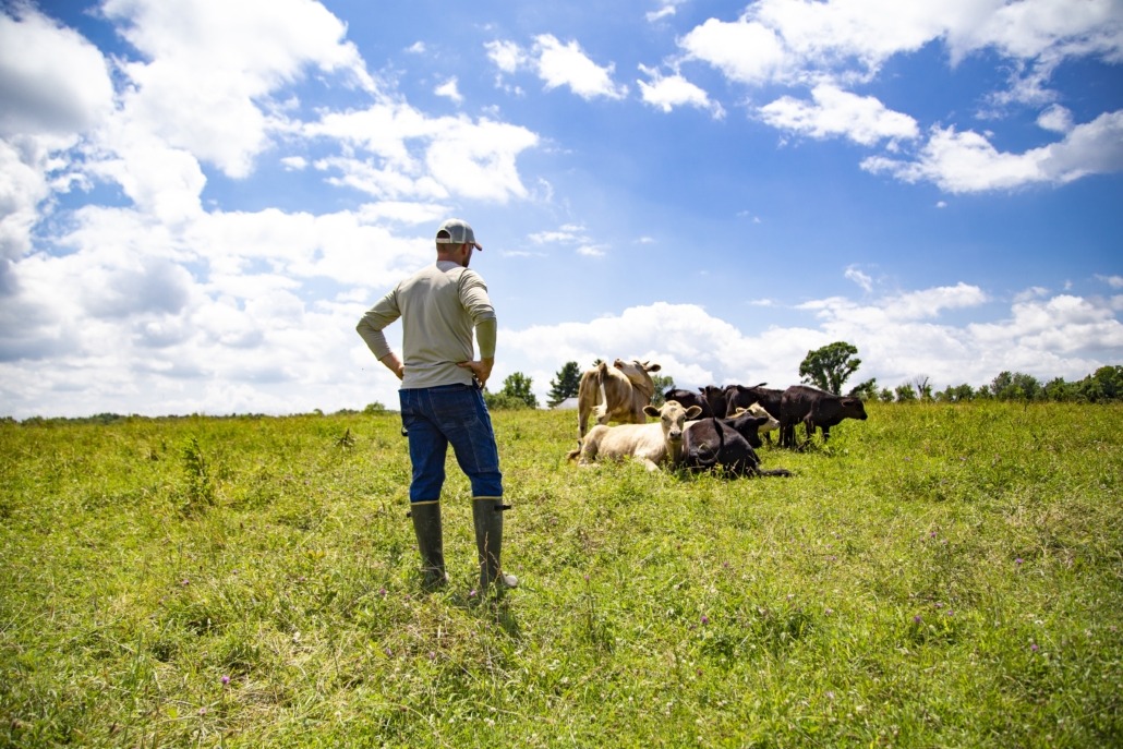 leasing-cattle-ranches-for-hunting_pic1