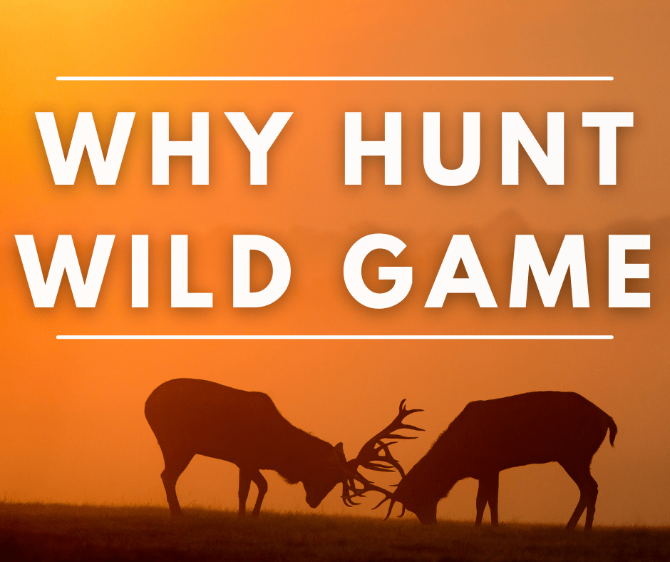 WIld Game hunting