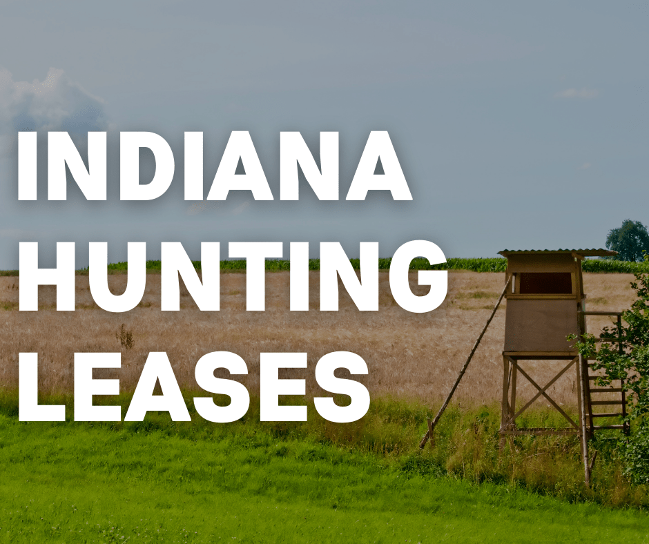 Hunting Leases In Indiana Base Camp Leasing