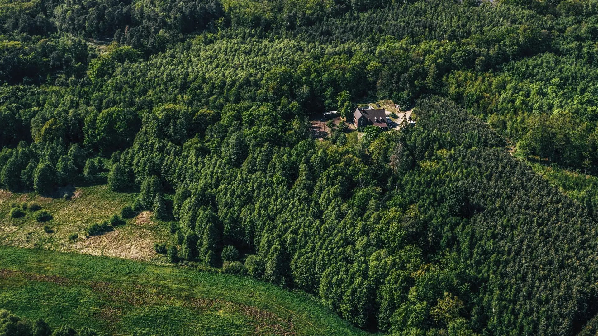 Premier Hunting Land