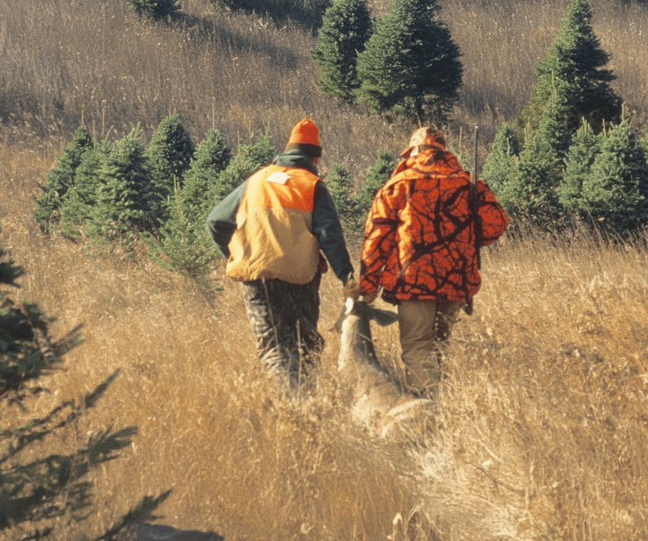 Dragging deer – 944×788