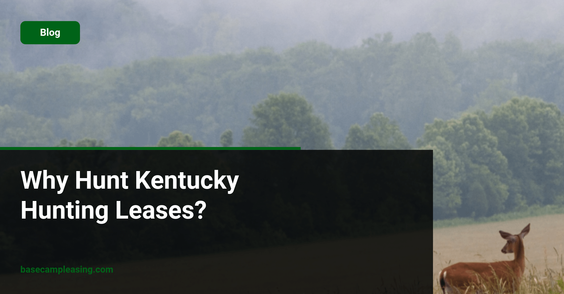 Why Hunt Kentucky Hunting Leases - Base Camp Leasing