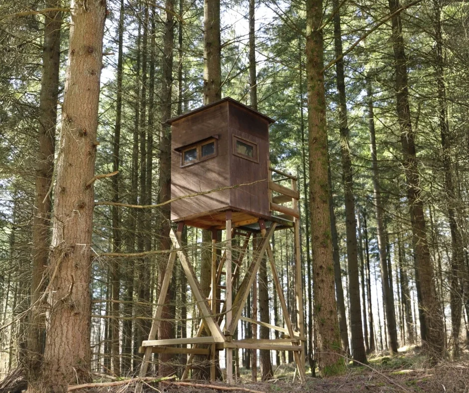 Deer stand in Kentucky 940×788