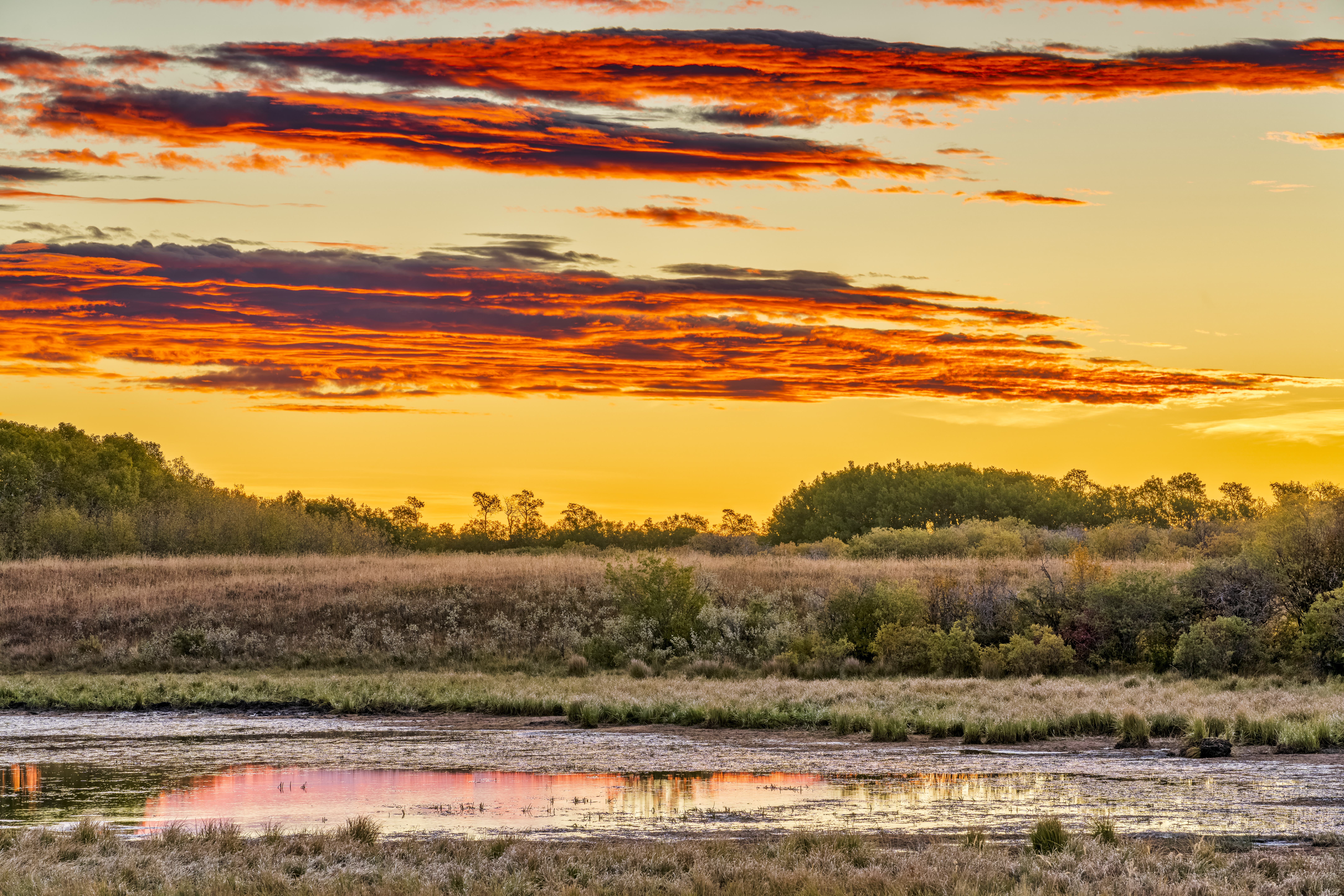 Alberta Canada countryside